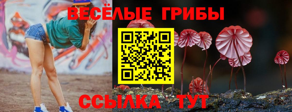 Псилоцибиновые грибы прущие грибы  Вход с VPN  Тобольск  Псилоцибиновые грибы ЛСД 